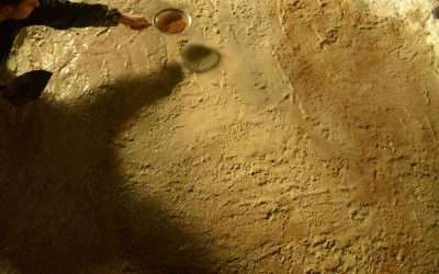 Mud cracking timelapses