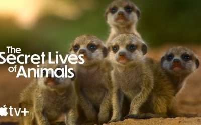 The Secret Lives of Animals